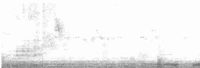 holub hřivnáč - ML472276441