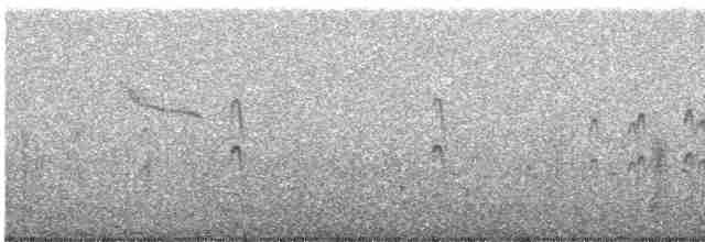 Common Tern - ML472280291