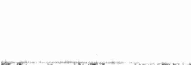 Lagopède à queue blanche - ML472318021