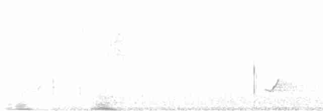 Bülbül Ardıcı [ustulatus grubu] - ML472327071