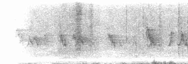 Spotted Wren - ML472372701