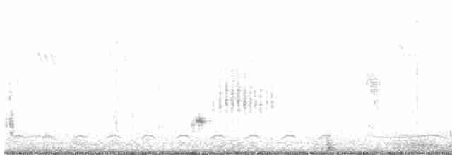 Siamese Pied Starling - ML472413651