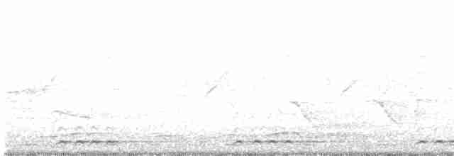Streifenbartvogel - ML472428361