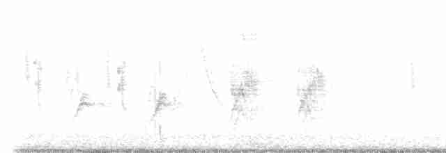 Kalifornienspottdrossel - ML472436781