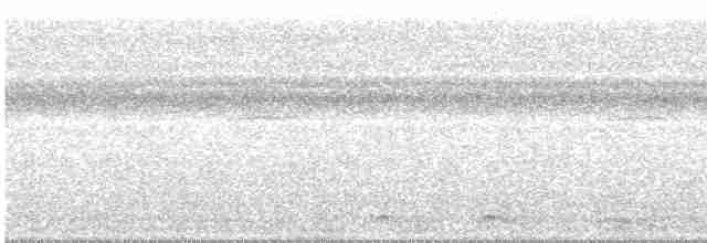 Lacivert Kuyruklu Trogon - ML472489151