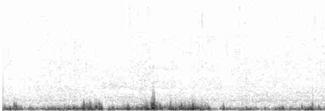 Белохвостая куропатка - ML472508631