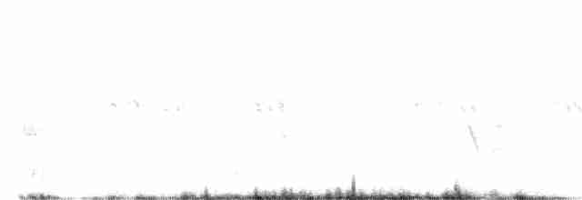 Gray Vireo - ML472534931