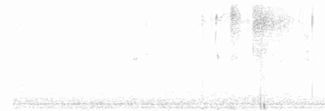 savannesølvnebb - ML472553771