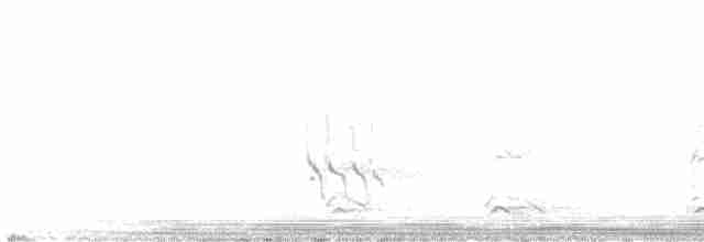 Короткоклювый бекасовидный веретенник - ML472689481