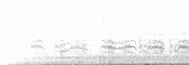 Курочка плямистобока - ML472705931
