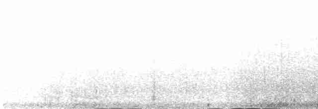 カツオドリ（亜種 カツオドリ） - ML472722961