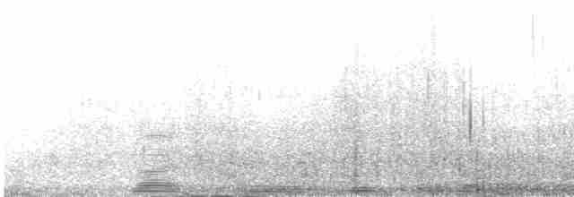 カツオドリ（亜種 カツオドリ） - ML472722981