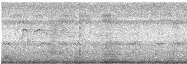 Dendrocygne siffleur - ML472724671