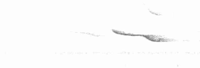 Band-winged Nightjar - ML472773511