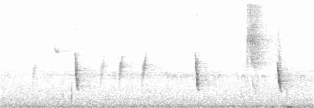 Münzevi Bülbül Ardıcı - ML47286231