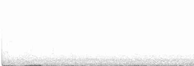 White-crested Elaenia (White-crested) - ML472886891