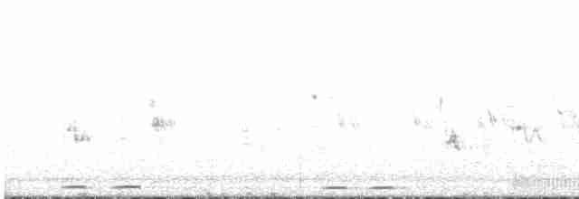 dudek chocholatý [skupina epops] - ML472901921