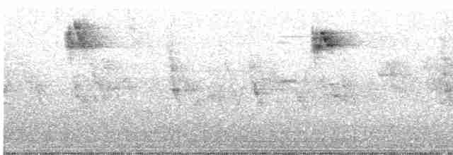 Spotted Flycatcher (Mediterranean) - ML472902001