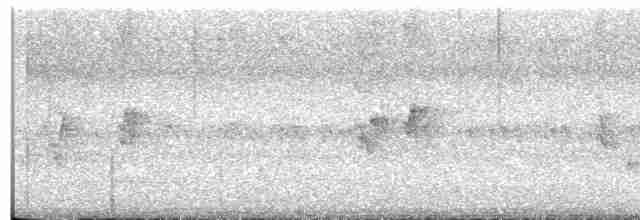 Brown-crested Flycatcher - ML472925301