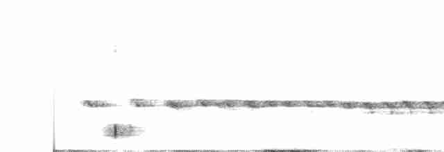 Chaparralgrasmücke - ML473006561
