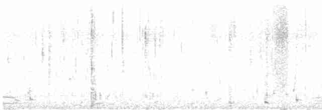 Kara Gerdanlı Dalgıç - ML473008741