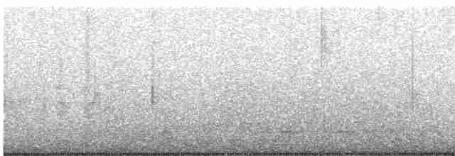 Pelagic Cormorant - ML473018571