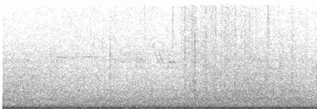 Pelagic Cormorant - ML473020361