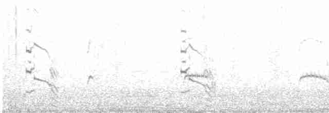 Küstenseeschwalbe - ML473054551