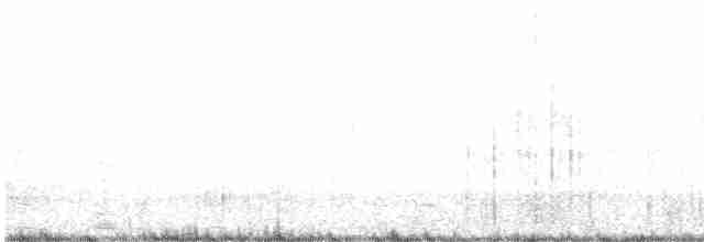 Plectrophane des neiges - ML473055471