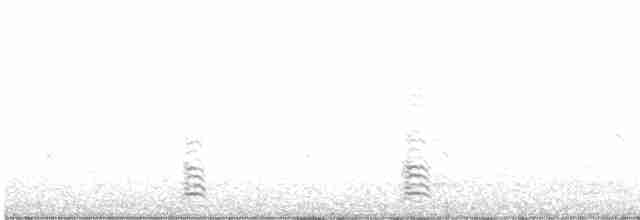 Белощёкая казарка - ML473056521