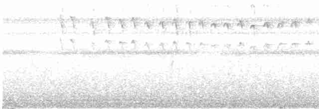 Green-tailed Goldenthroat - ML473071311