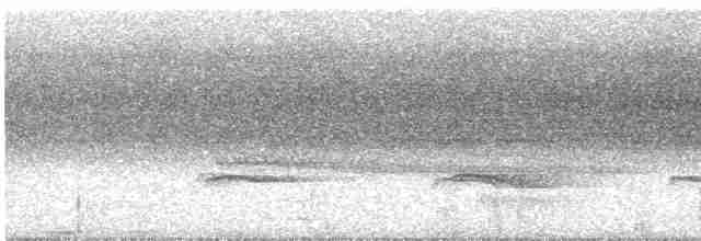Kestane Sırtlı Karıncakuşu - ML473071651