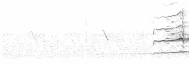 dřemlík tundrový (ssp. richardsonii) - ML473080521