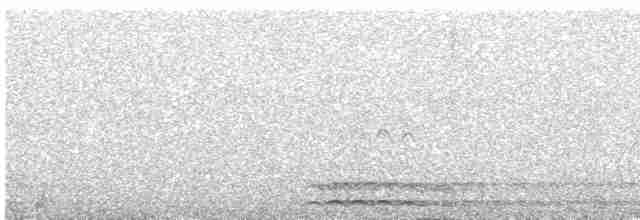 Гагара полярна - ML473080581