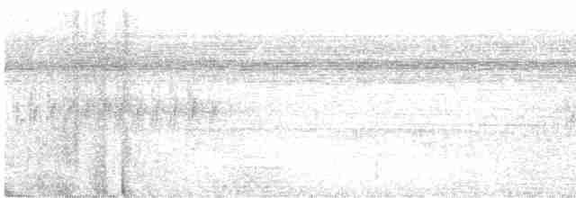 Black-tailed Trogon - ML473132231