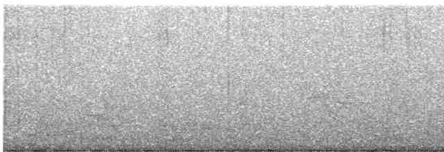 Hermit Thrush (faxoni/crymophilus) - ML473174221