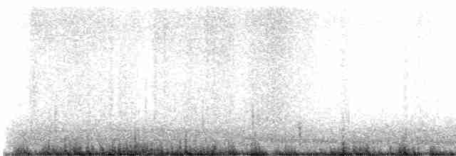 裏海燕鷗 - ML473201061