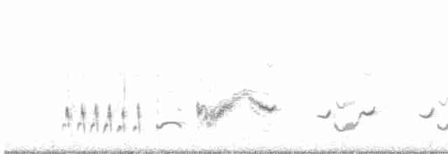 Wüstenspottdrossel (lecontei/macmillanorum) - ML473213521