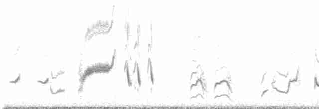Пустынный пересмешник (lecontei/macmillanorum) - ML473213541