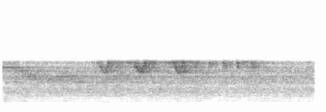 Cerulean Warbler - ML473245811
