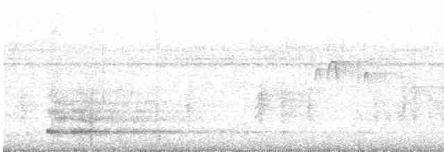 rorýs krátkoocasý - ML473361111