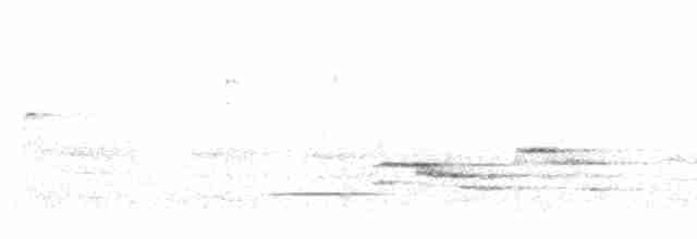 Münzevi Bülbül Ardıcı - ML473377301