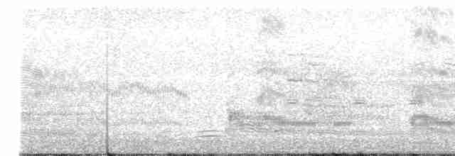 Forster's Tern - ML473400331
