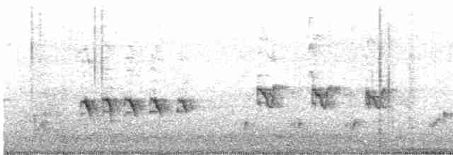 Australian Reed Warbler - ML473485311