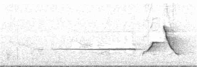 Brownish-flanked Bush Warbler - ML47352861