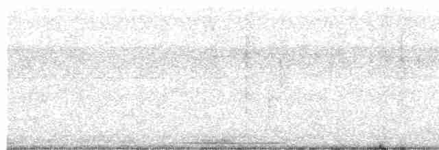 holub šedočelý - ML473570411