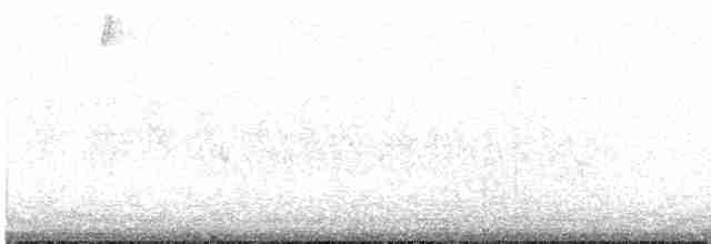 Тиран-крихітка чорноголовий - ML473597321