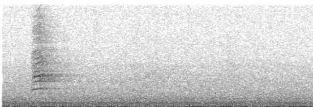 Гагер світлогорлий - ML473602971