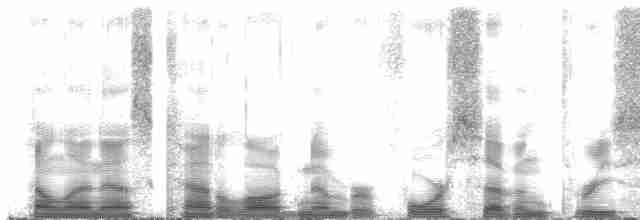 Élénie obscure - ML47364
