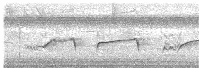 Atlantik Karınca Tiranı - ML47364201